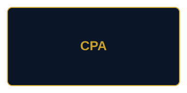 Chartered Professional Accountants